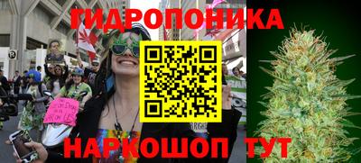 эйфоретик Бугуруслан