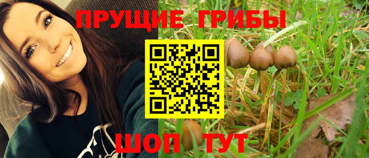 Псилоцибиновые грибы GOLDEN TEACHER  Псилоцибиновые грибы прущие грибы  Вход с VPN  Назарово 