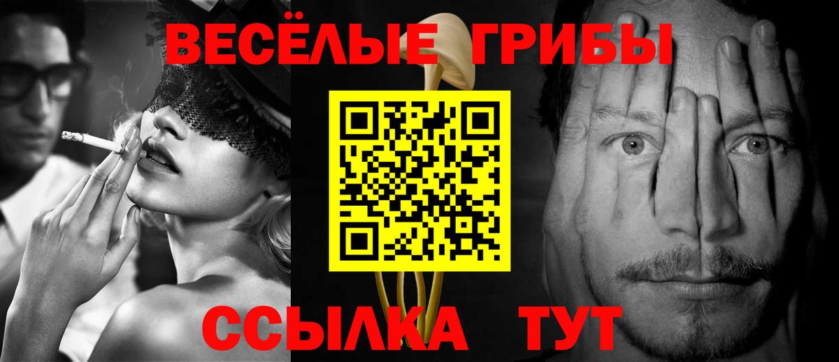 Псилоцибиновые грибы Psilocybine cubensis Назарово